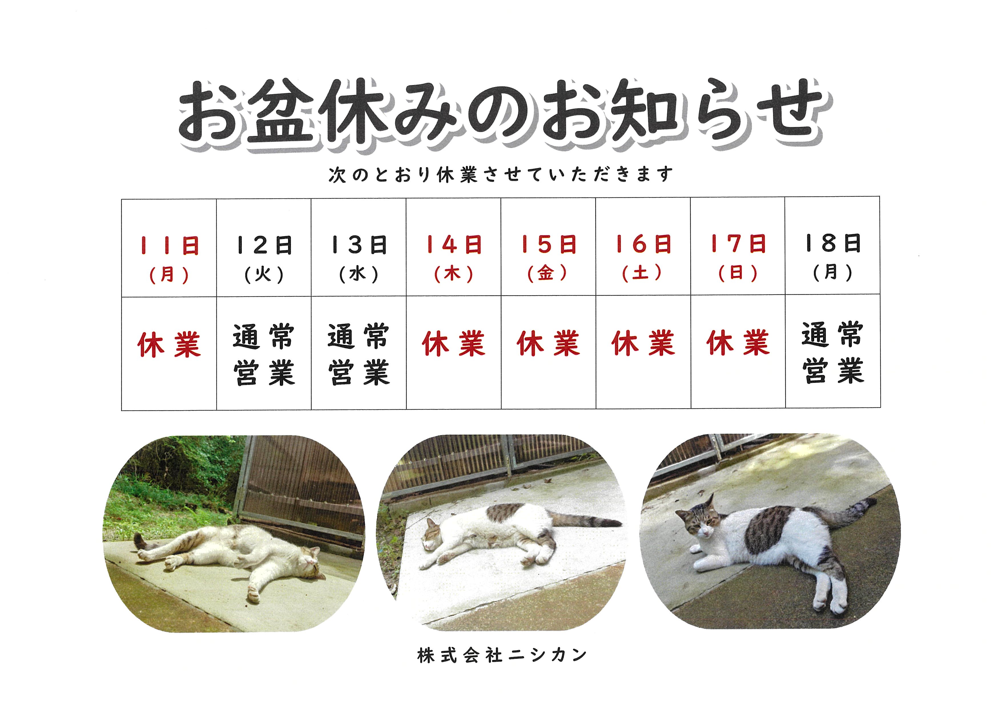 ⭐️KN⭐️お盆も休まず発送⭐️ 🎐お盆休みのお知らせ🎐 - プラスチックシートの事なら㈱中谷商会に！